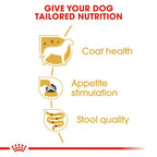 Royal Canin - Adult Yorkshire Terrier Loaf Wet Food 85g