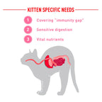 Royal Canin - Babycat Milk