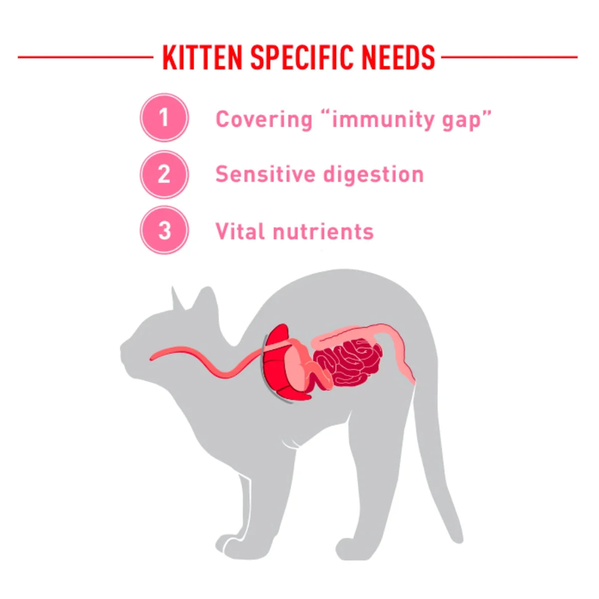 Royal Canin - Babycat Milk