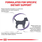Royal Canin - Canine Dental Small Dog 1.5kg