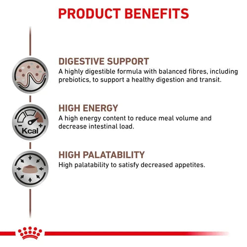 Royal Canin - Canine Gastrointestinal 200g