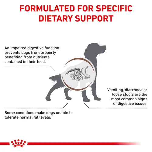 Royal Canin - Canine Gastrointestinal Low Fat 200g