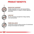 Royal Canin - Canine Gastrointestinal Low Fat 200g