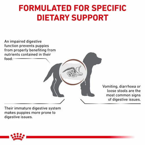 Royal Canin - Canine Gastrointestinal Puppy 1kg