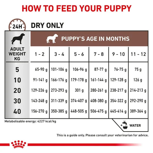 Royal Canin - Canine Gastrointestinal Puppy 1kg