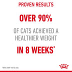 Royal Canin - Care Light Weight Cat Dry Food