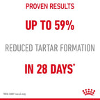 Royal Canin - Care Dental Cat Dry Food