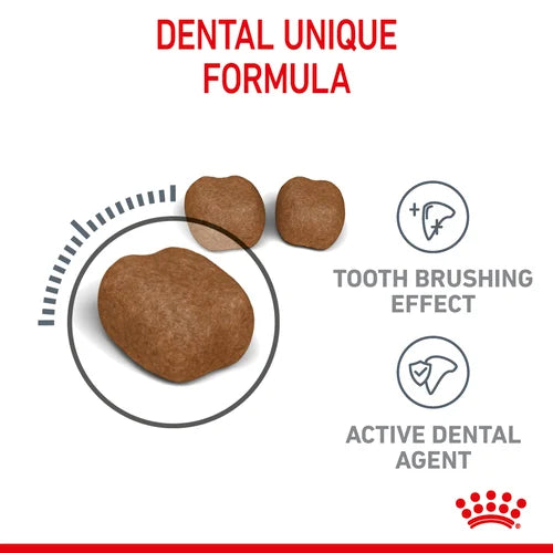 Royal Canin - Care Dental Cat Dry Food