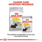 Royal Canin - Dermacomfort Dog Loaf Wet Food 85g