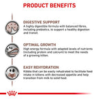 Royal Canin - Feline Gastrointestinal Kitten