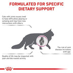 Royal Canin - Feline Mobility 2kg