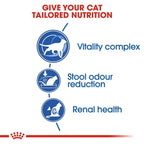 Royal Canin - Home Life Indoor 7+ Cat Dry Food
