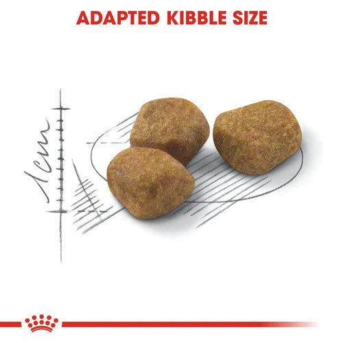 Royal Canin - Home Life Indoor 7+ Cat Dry Food