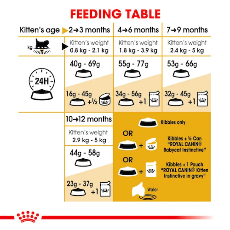 Royal Canin - Kitten Persian Dry Food