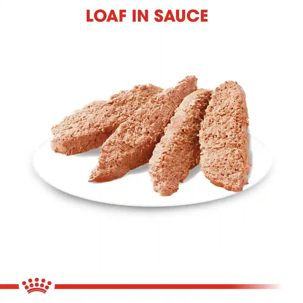 Royal Canin - Light Weight Care Dog Loaf Wet Food 85g