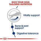 Royal Canin - MAXI Adult 5+ Dogs Dry Food 15kg