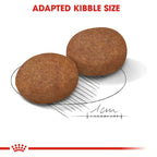Royal Canin - Medium Adult 7+ Dogs Dry Food