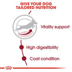 Royal Canin - Medium Adult 7+ Dogs Dry Food
