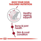 Royal Canin - Medium Ageing 10+ Dogs Dry Food 3kg
