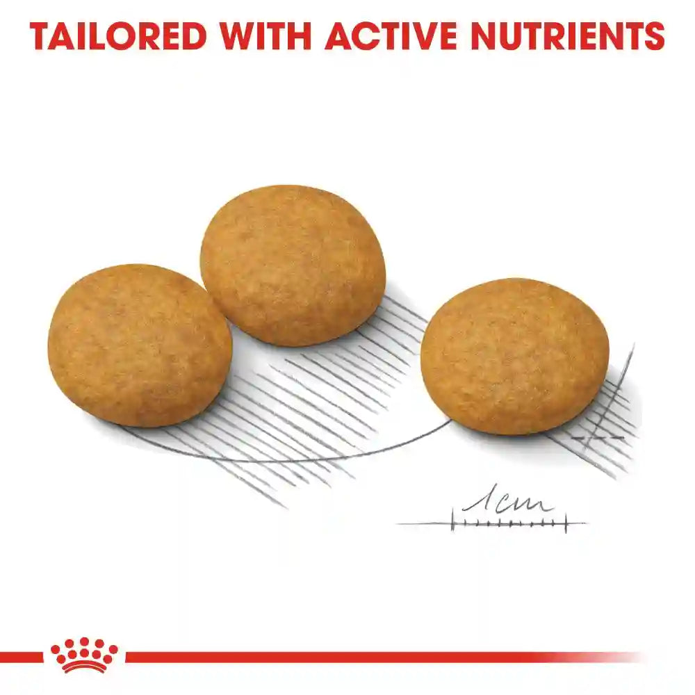 Royal Canin - Medium Dermacomfort Dog Dry Food