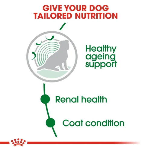 Royal Canin - Mini Ageing 12+ Dog Dry Food 1.5kg