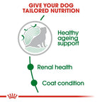 Royal Canin - Mini Ageing 12+ Dog Dry Food 1.5kg