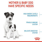 Royal Canin - Mini Starter Mother & Babydog Dry Food 3kg