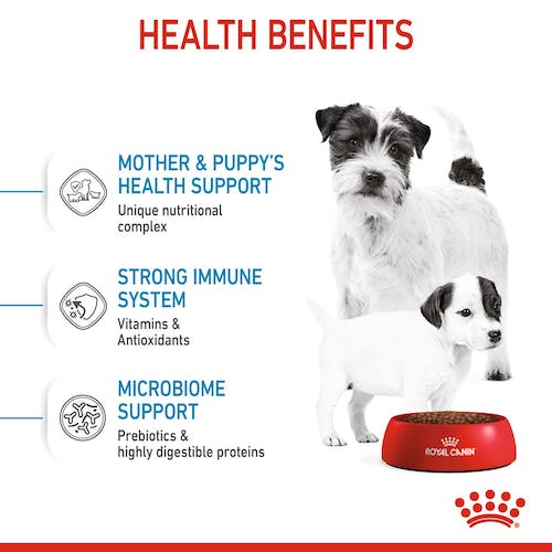 Royal Canin - Mini Starter Mother & Babydog Dry Food 3kg