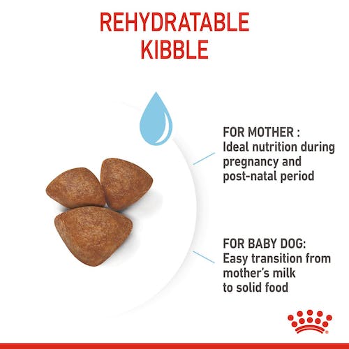 Royal Canin - Mini Starter Mother & Babydog Dry Food 3kg
