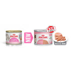 Royal Canin - Mother & BabyCat Canned Food 195g