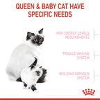 Royal Canin - Mother & Babycat Dry Food (1-4 Months)