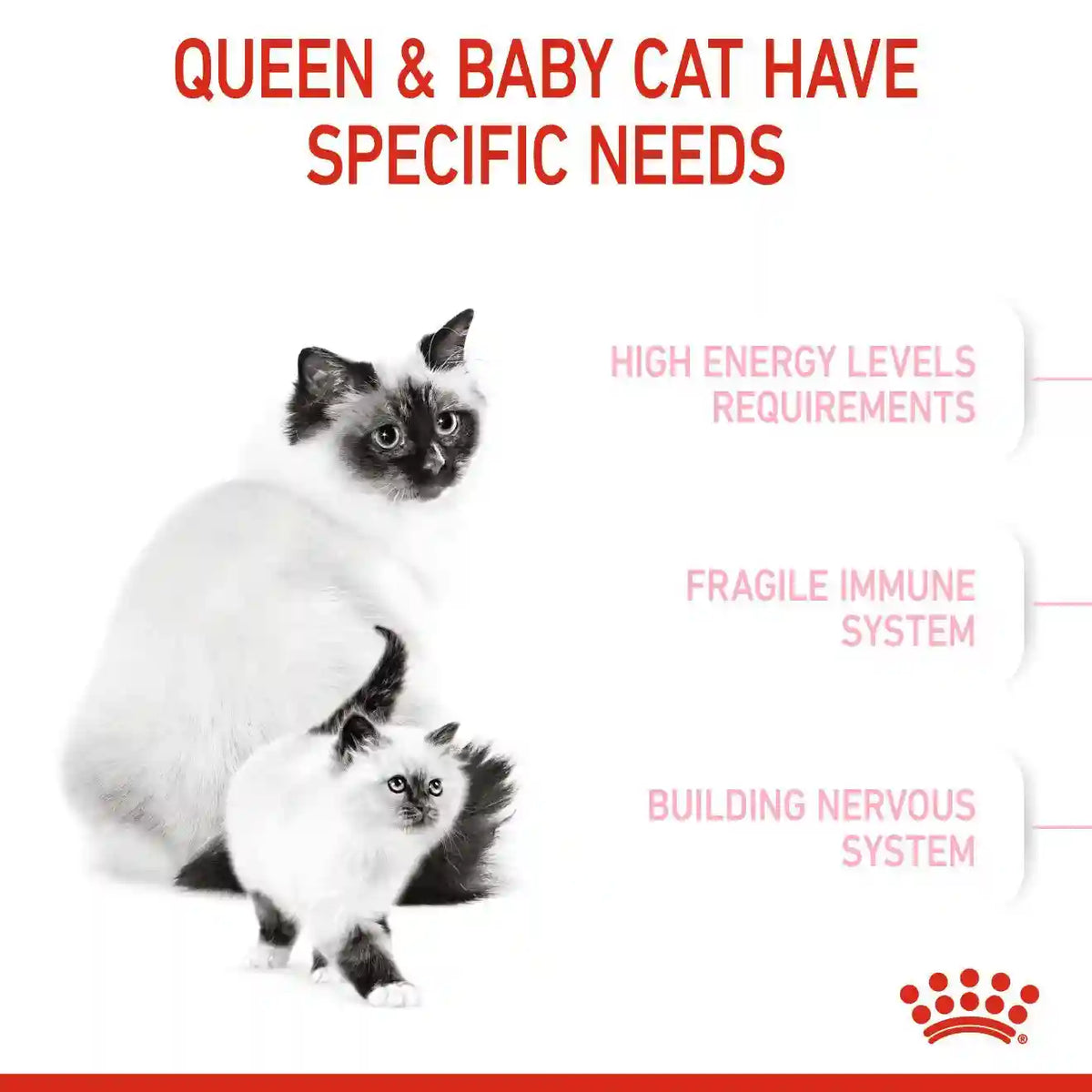 Royal Canin - Mother & Babycat Dry Food (1-4 Months)