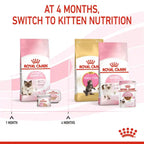 Royal Canin - Mother & Babycat Dry Food (1-4 Months)