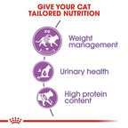 Royal Canin - Regular Sterilised Cat Dry Food
