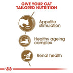 Royal Canin - Senior Ageing 12+ Years Cat Dry Food