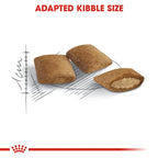 Royal Canin - Senior Ageing 12+ Years Cat Dry Food