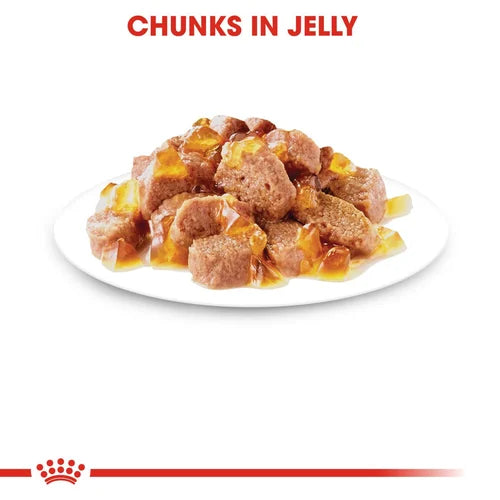 Royal Canin - Sterilised Cat Wet Food In Jelly 85g