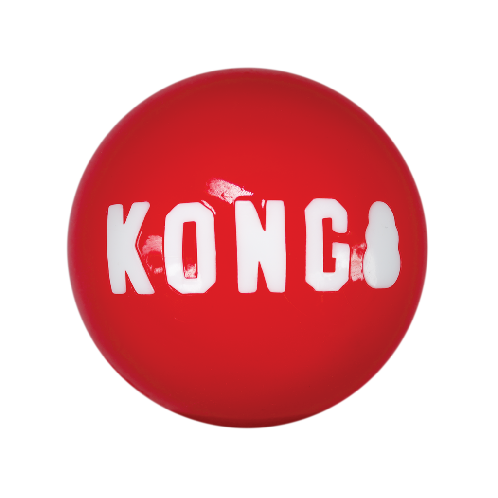 KONG Dog Toys Signature Balls