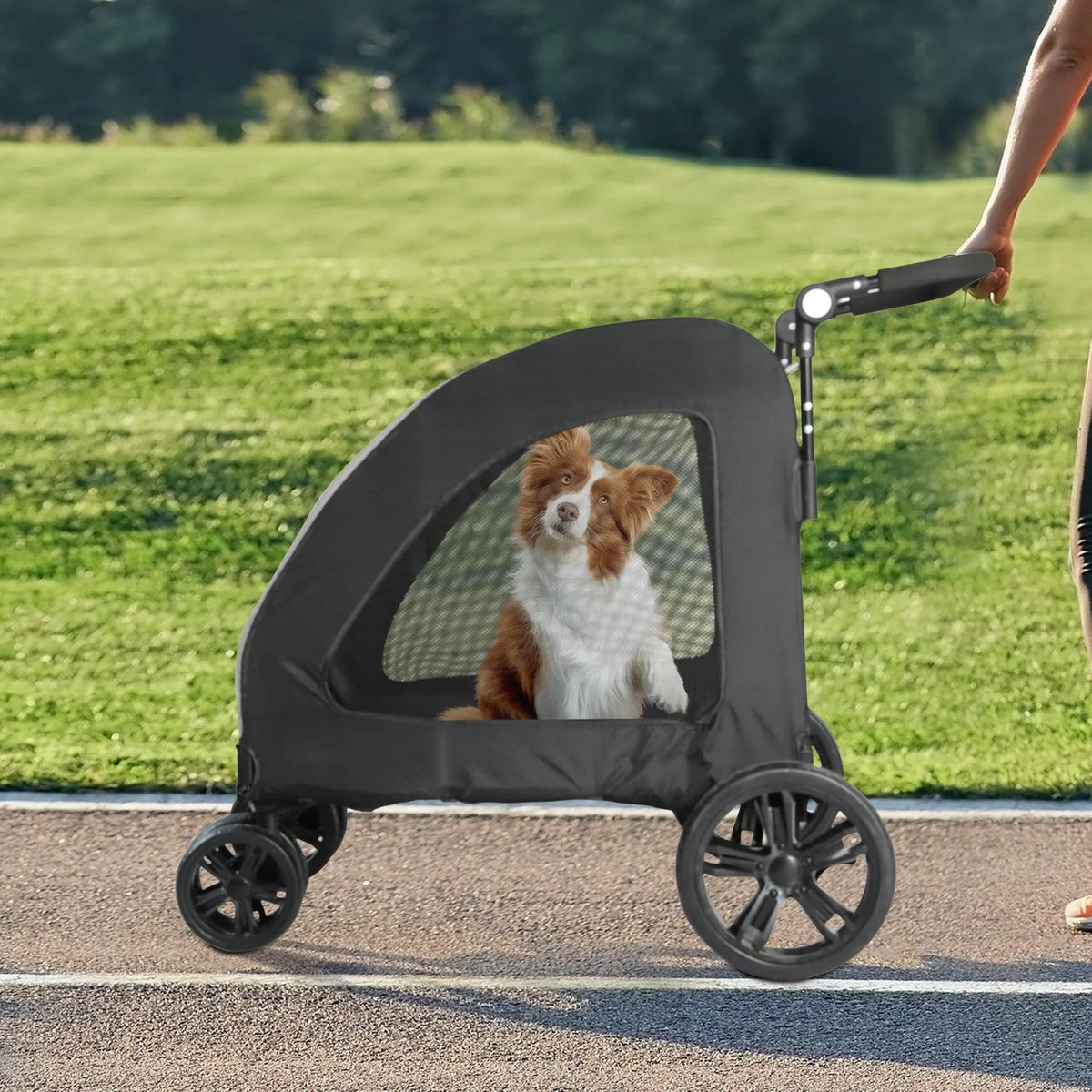 Pet Stroller 4 Wheel