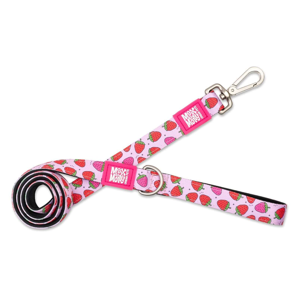 Max & Molly Dog Leash