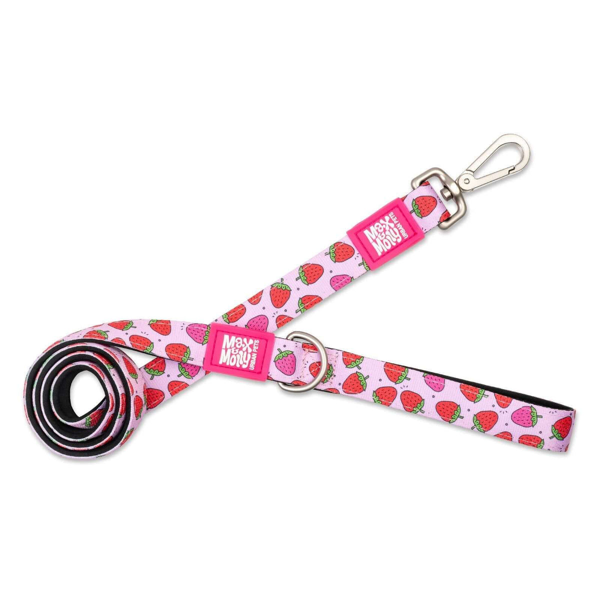 Max & Molly Dog Leash