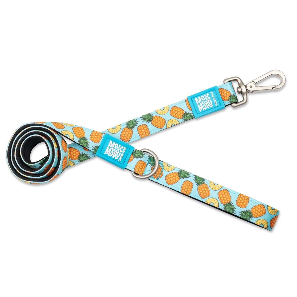 Max & Molly Dog Leash