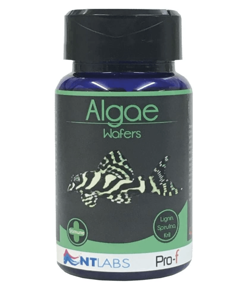 NT LABS Pro-f Algae Wafers (include lignin for wood eating fishes)