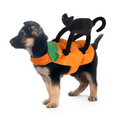 Vetopia Costume- Cat Rider