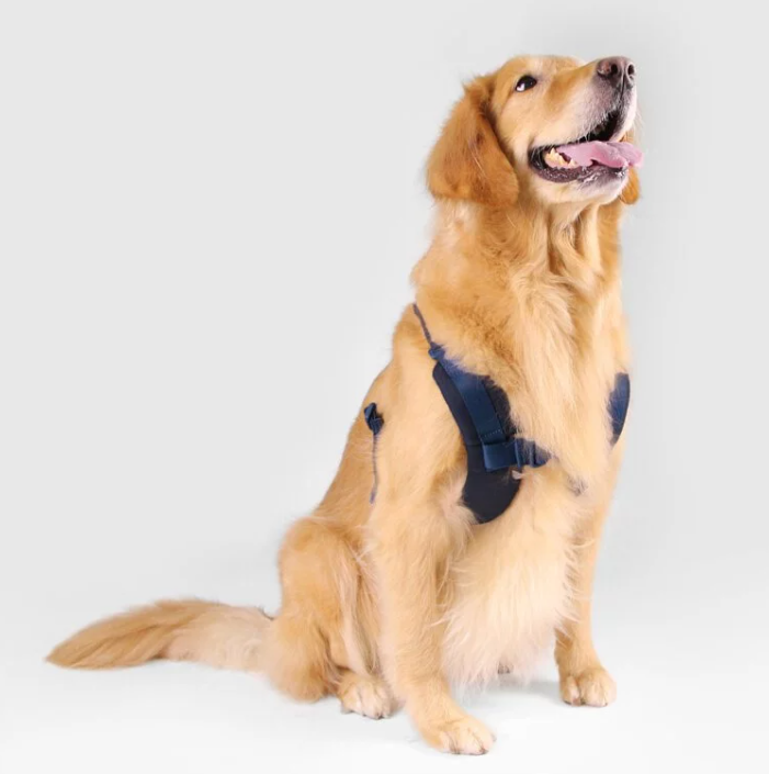 SPUTNIK - Harness - Blue