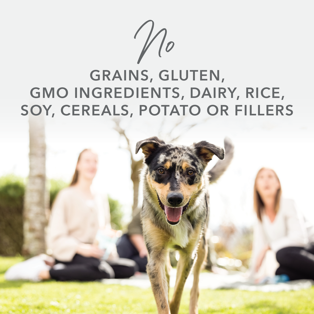 K9 Natural Dog Food Freeze Dried Beef Feast