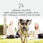 K9 Natural Dog Food Freeze Dried Lamb Feast