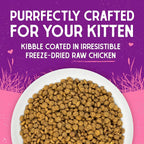 Stella & Chewy's - Freeze Dried Raw Coated Kibbles - Kitten (Cage-Free Chicken Recipe)