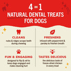 Stella & Chewy's Dental Delights for Dogs - Large