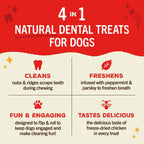 Stella & Chewy's Dental Delights for Dogs - XSmall